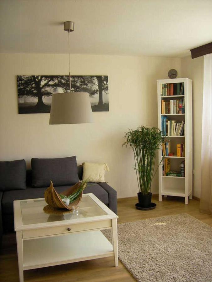 Apartamento Haus Ellbogen Momlingen Exterior foto